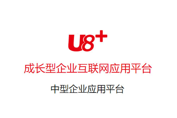 用友U8+成长型企业互联网应用平台架构